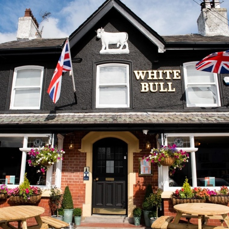 The White Bull