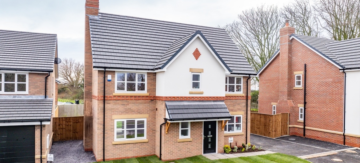 Plot 5